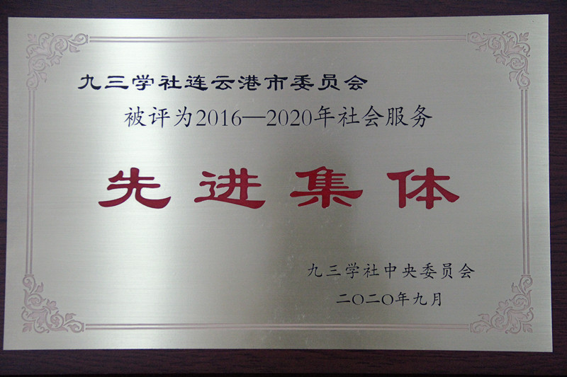 社市委奖牌_副本.jpg